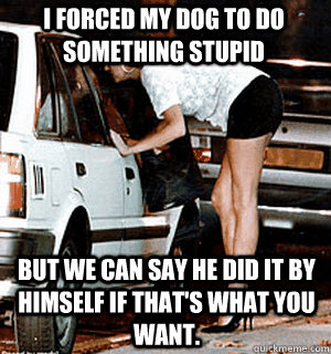 I forced my dog to do something stupid But we can say he did it by himself if that's what you want.  Karma Whore