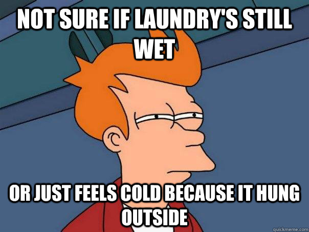 Not sure if laundry's still wet Or just feels cold because it hung outside  Futurama Fry