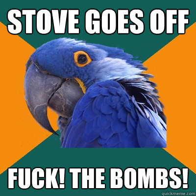 stove goes off Fuck! the bombs!  Paranoid Parrot