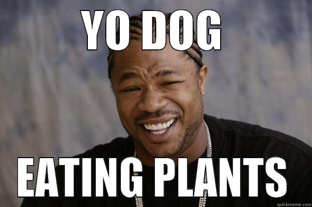 eating plants dawg - YO DOG EATING PLANTS Xzibit meme