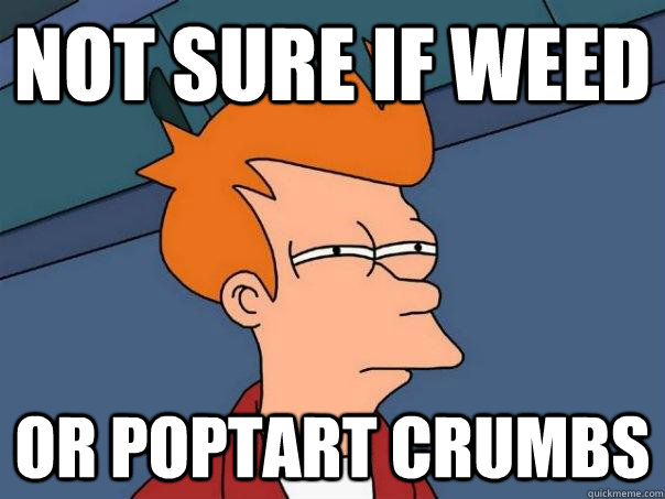 Not sure if weed Or poptart crumbs - Not sure if weed Or poptart crumbs  Futurama Fry