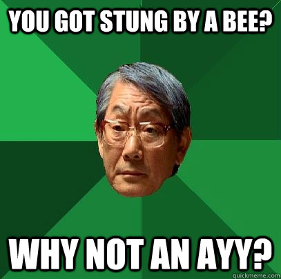 You got stung by a bee? Why not an ayy?  High Expectations Asian Father