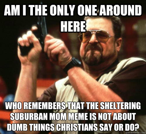 Am i the only one around here who remembers that the sheltering suburban mom meme is not about dumb things christians say or do?  Am I The Only One Around Here