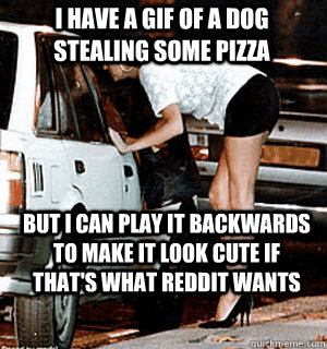 I have a GIF of a dog stealing some pizza But I can play it backwards to make it look cute if that's what reddit wants - I have a GIF of a dog stealing some pizza But I can play it backwards to make it look cute if that's what reddit wants  Karma Whore