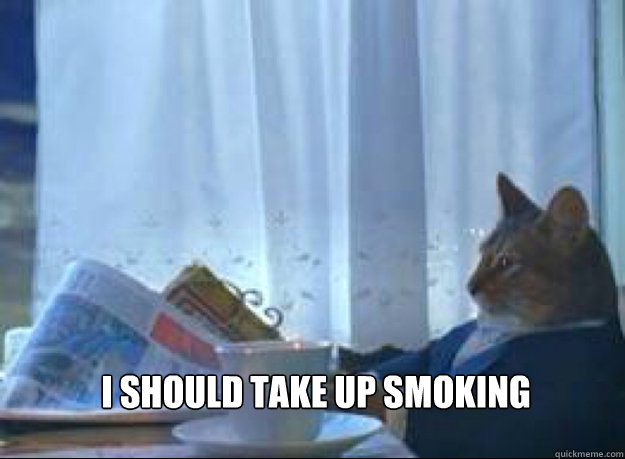 I should take up smoking  - I should take up smoking   I should buy a boat cat