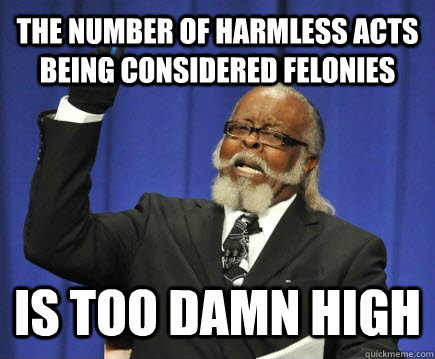 The number of harmless acts being considered felonies is too damn high  Too Damn High