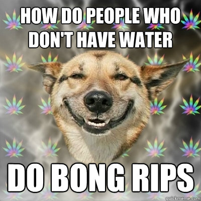 How do people who don't have water do bong rips  Stoner Dog