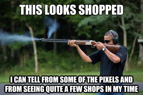 This looks shopped I can tell from some of the pixels and from seeing quite a few shops in my time - This looks shopped I can tell from some of the pixels and from seeing quite a few shops in my time  Republican Response