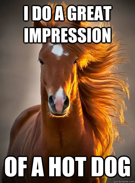 I do a great impression of a hot dog - I do a great impression of a hot dog  Ridiculously Photogenic Horse