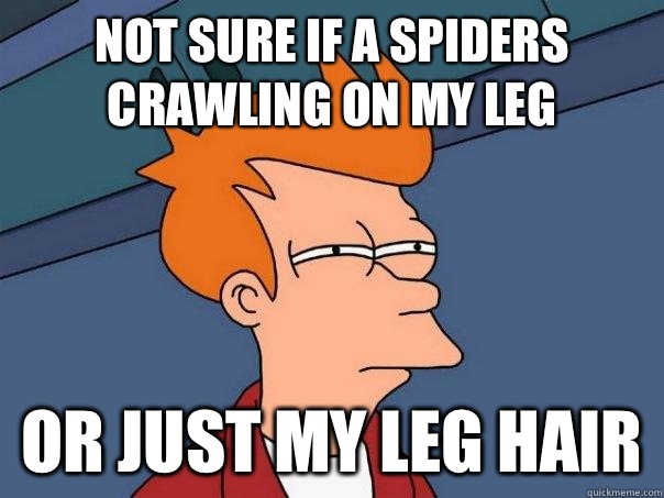 Not sure if a spiders crawling on my leg Or just my leg hair - Not sure if a spiders crawling on my leg Or just my leg hair  Misc