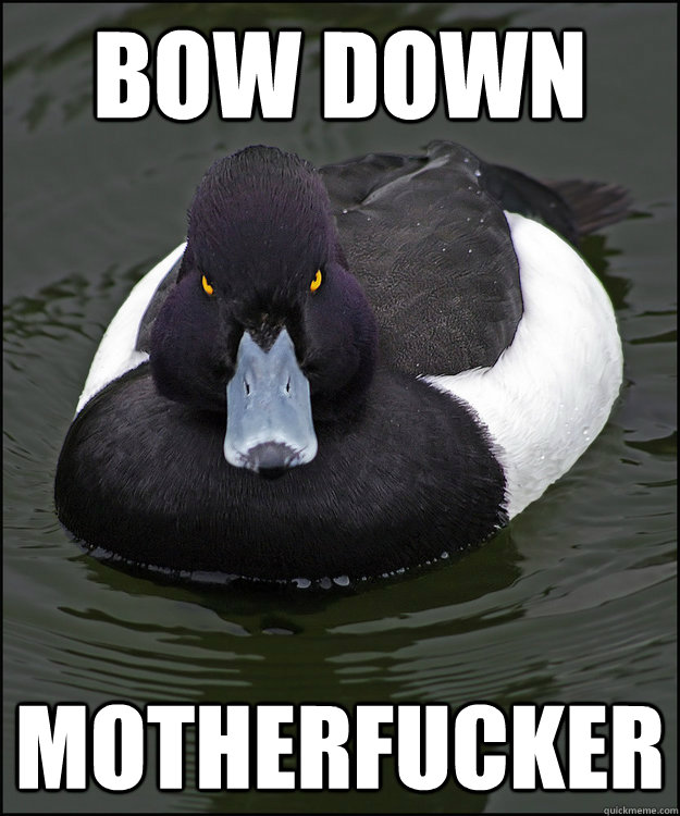 BOW DOWN MOTHERFUCKER - BOW DOWN MOTHERFUCKER  Angry Advice Duck