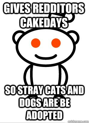 Gives Redditors Cakedays so stray cats and dogs are be adopted  GGR Good Guy Reddit