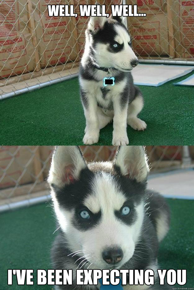 Well, well, well... I've been expecting you  Insanity puppy
