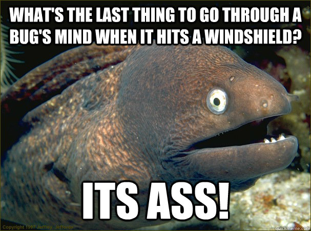 what's the last thing to go through a bug's mind when it hits a windshield? Its ass! - what's the last thing to go through a bug's mind when it hits a windshield? Its ass!  Bad Joke Eel