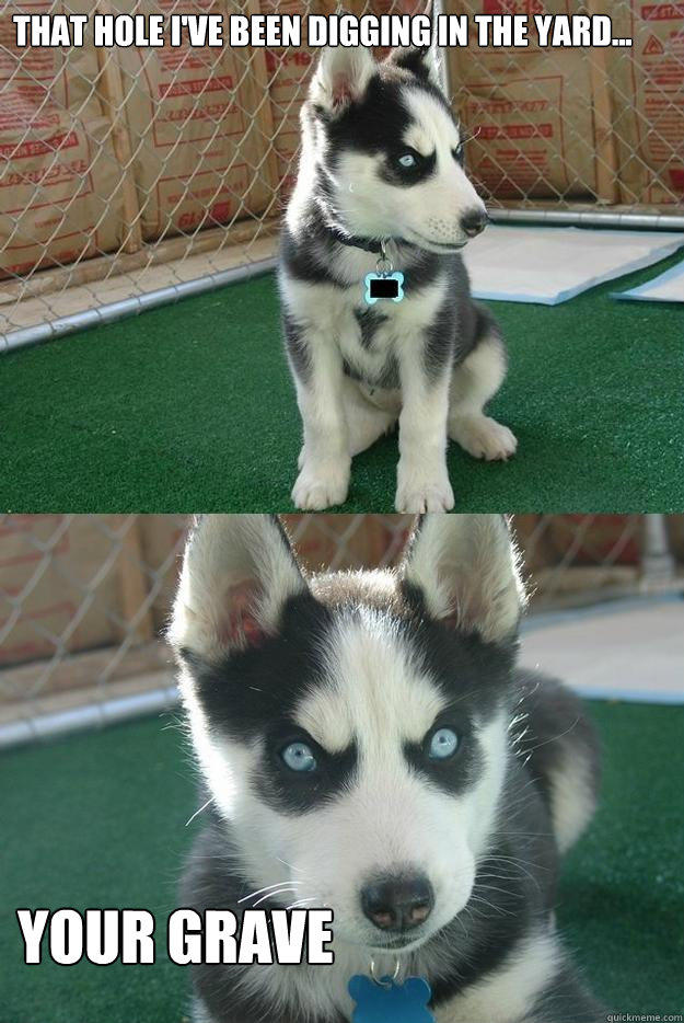 That hole i've been digging in the yard... your grave  Insanity puppy