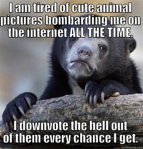 I AM TIRED OF CUTE ANIMAL PICTURES BOMBARDING ME ON THE INTERNET ALL THE TIME. I DOWNVOTE THE HELL OUT OF THEM EVERY CHANCE I GET. Confession Bear