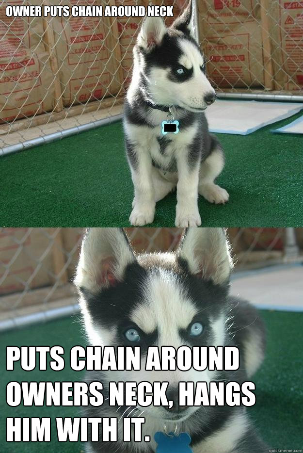 owner puts chain around neck Puts chain around owners neck, hangs him with it.  Insanity puppy