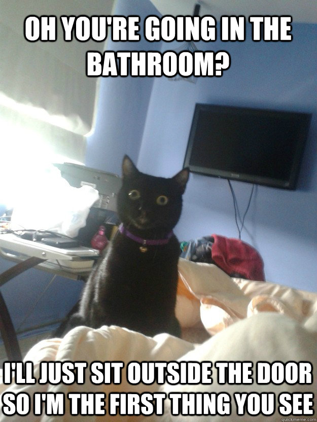 oh you're going in the bathroom? I'll just sit outside the door so i'm the first thing you see  overly attached cat
