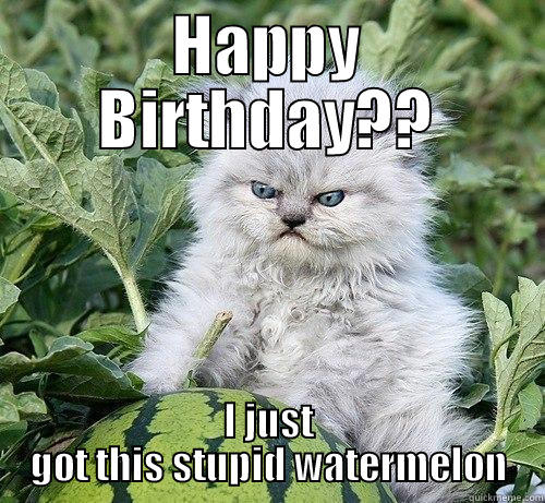 Shitty Kitty - HAPPY BIRTHDAY?? I JUST GOT THIS STUPID WATERMELON German Kitty