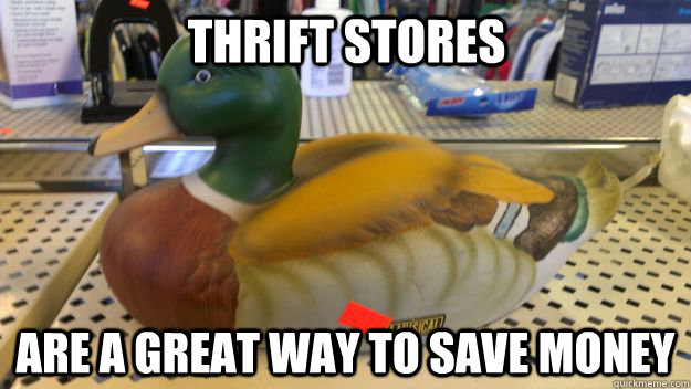 Thrift Stores Are a great way to save money  Actual Advice Mallard