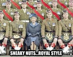 Sneaky Nuts...Royal style s
a
r  Sneaky Nuts