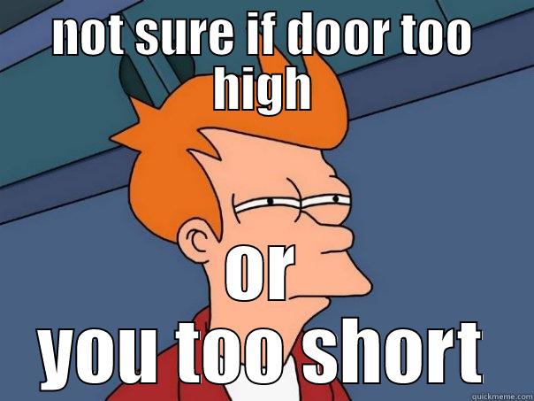 NOT SURE IF DOOR TOO HIGH OR YOU TOO SHORT Futurama Fry