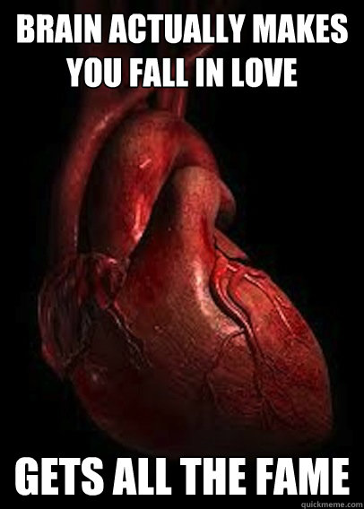 brain actually makes you fall in love gets all the fame   Scumbag Heart