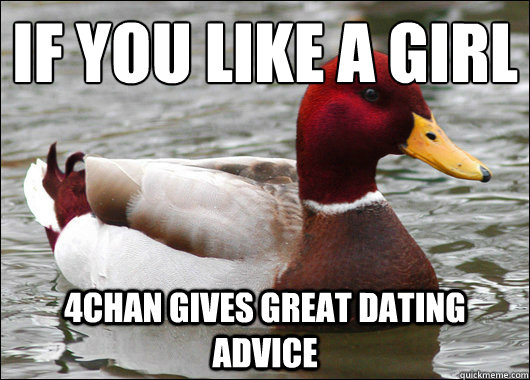 If you like a girl
 4chan gives great dating advice  Malicious Advice Mallard