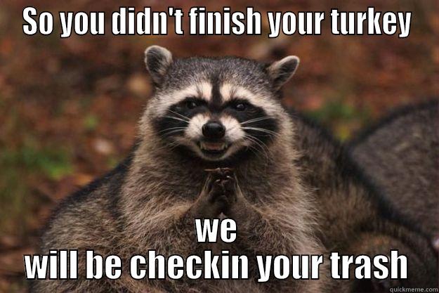 SO YOU DIDN'T FINISH YOUR TURKEY WE WILL BE CHECKIN YOUR TRASH Evil Plotting Raccoon