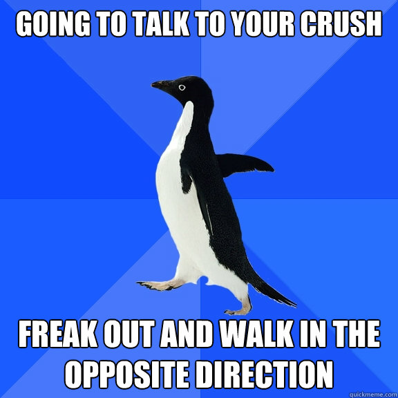 going to talk to your crush  freak out and walk in the opposite direction  Socially Awkward Penguin