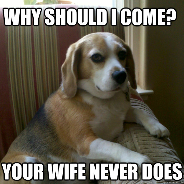 Why should I come? your wife never does  judgmental dog