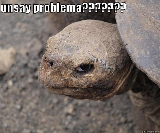 UNSAY PROBLEMA???????                  Angry Turtle