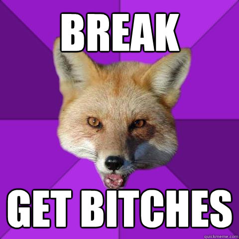 Break Get bitches - Break Get bitches  Forensics Fox
