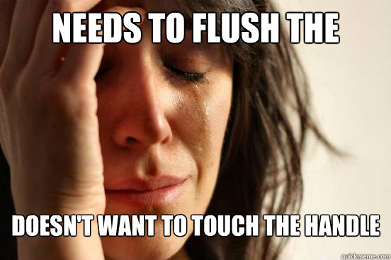 Needs to flush the toilet
 doesn't want to touch the handle
  First World Problems