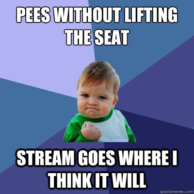 pees without lifting the seat stream goes where i think it will  Success Kid