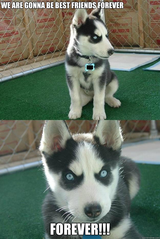 we are gonna be best friends forever FOREVER!!! Caption 3 goes here  Insanity puppy