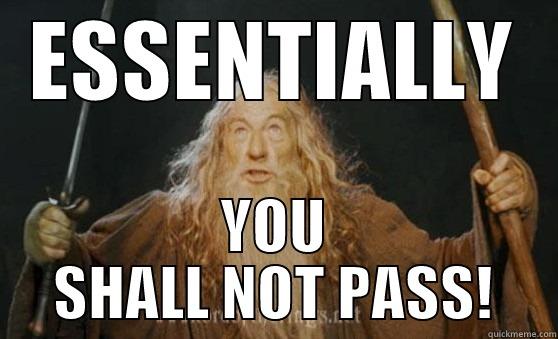 ESSENTIALLY YOU SHALL NOT PASS! Misc