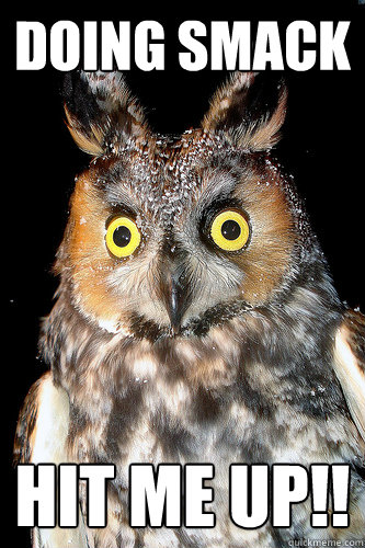 Doing Smack Hit me up!!  Hypocritical Drug Councillor Owl