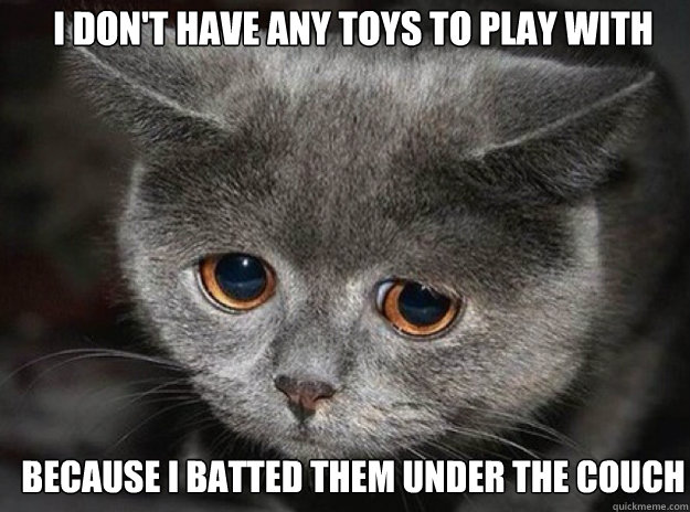 i don't have any toys to play with because i batted them under the couch - i don't have any toys to play with because i batted them under the couch  Misc