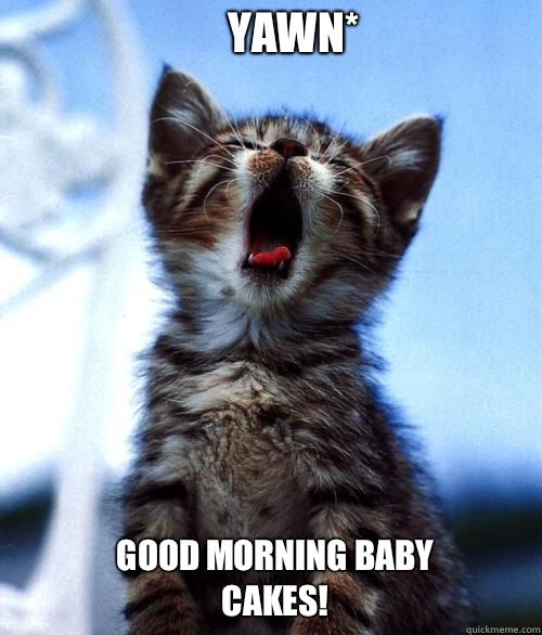 Good Morning baby cakes! Yawn* - Good Morning baby cakes! Yawn*  Good morning