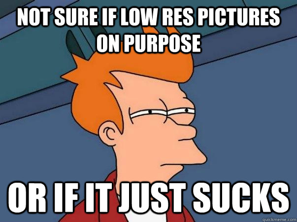 Not sure if low res pictures on purpose Or if it just sucks  Not sure Fry