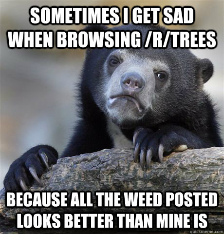 Sometimes I get sad when browsing /r/trees because all the weed posted looks better than mine is - Sometimes I get sad when browsing /r/trees because all the weed posted looks better than mine is  Confession Bear