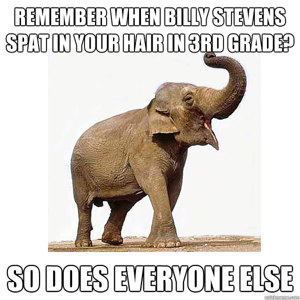 Remember when Billy Stevens spat in your hair in 3rd grade? So does everyone else - Remember when Billy Stevens spat in your hair in 3rd grade? So does everyone else  Memory Elephant