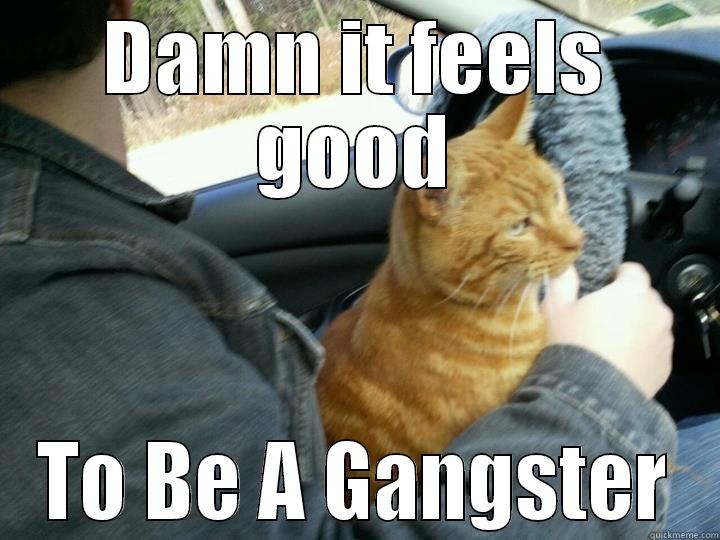 DAMN IT FEELS GOOD TO BE A GANGSTER Misc