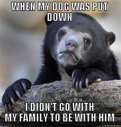 WHEN MY DOG WAS PUT DOWN I DIDN'T GO WITH MY FAMILY TO BE WITH HIM Confession Bear
