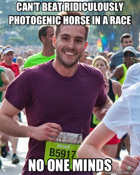 CAN'T BEAT RIDICULOUSLY PHOTOGENIC HORSE IN A RACE NO ONE MINDS  Ridiculously photogenic guy