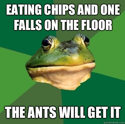 Eating chips and one falls on the floor The ants will get it  Foul Bachelor Frog