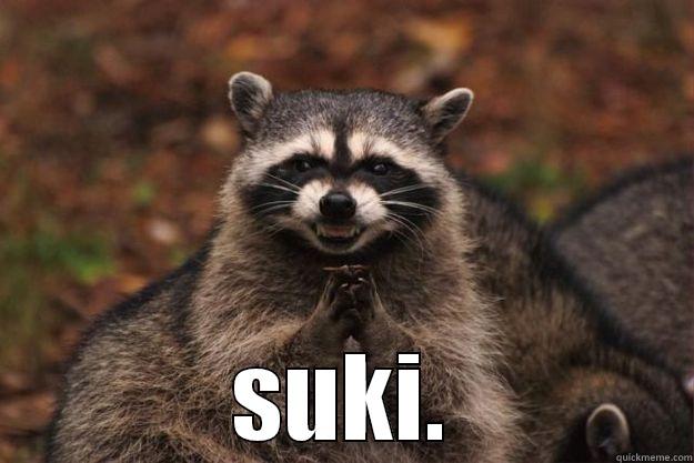  SUKI. Evil Plotting Raccoon