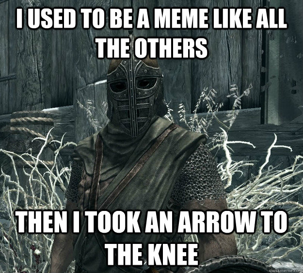 I used to be a meme like all the others then i took an arrow to the knee  Skyrim Guard