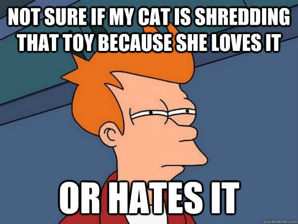 not sure if my cat is shredding that toy because she loves it or hates it  Futurama Fry